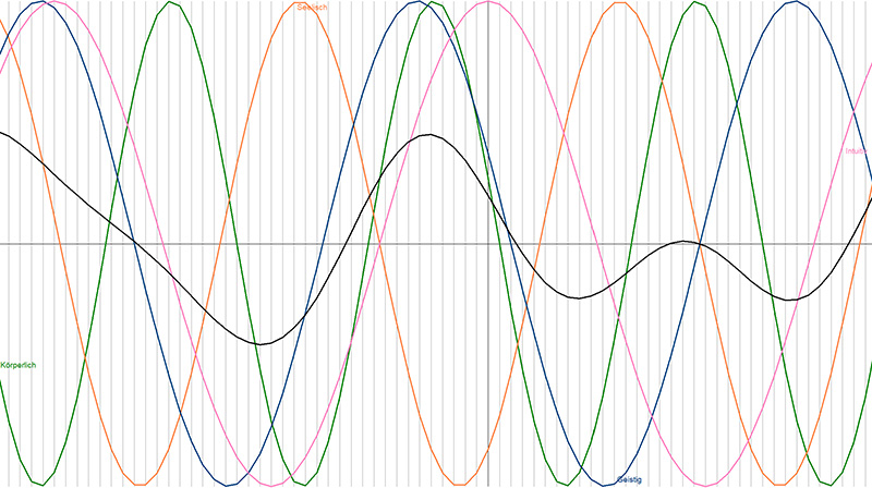 Ein Biorhythmus mit Kurven